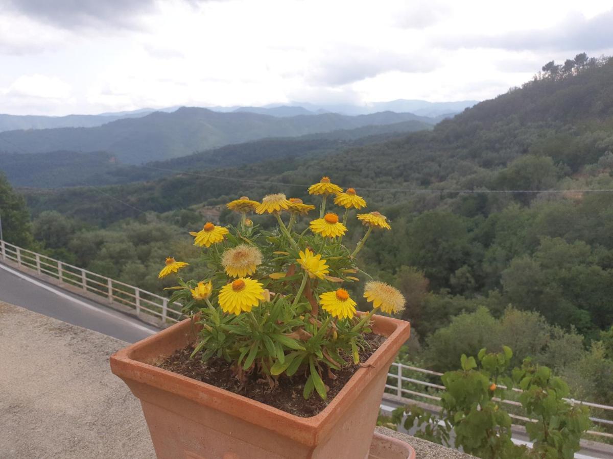 Bed & Breakfast Ca' Di Vissai Arnasco Zewnętrze zdjęcie