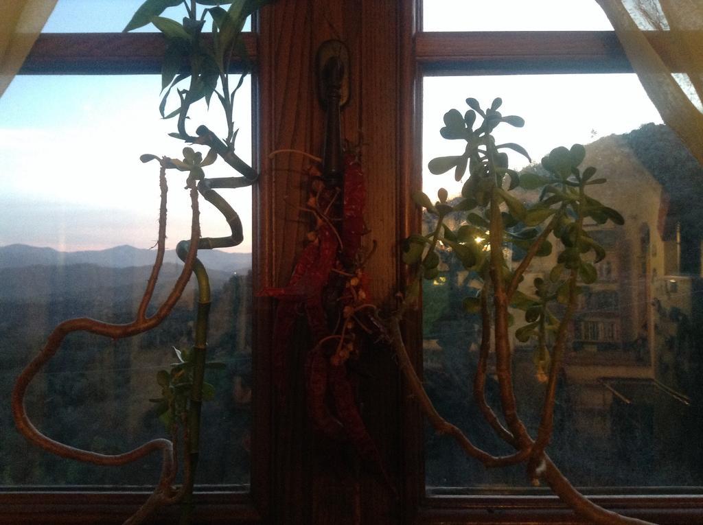Bed & Breakfast Ca' Di Vissai Arnasco Zewnętrze zdjęcie