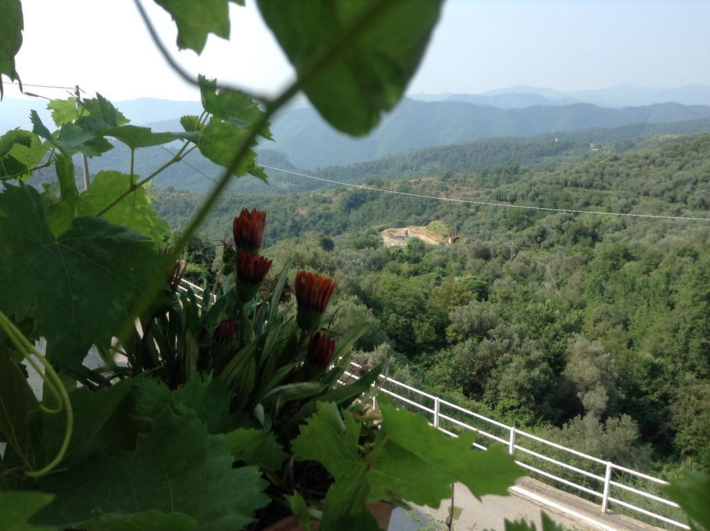 Bed & Breakfast Ca' Di Vissai Arnasco Zewnętrze zdjęcie