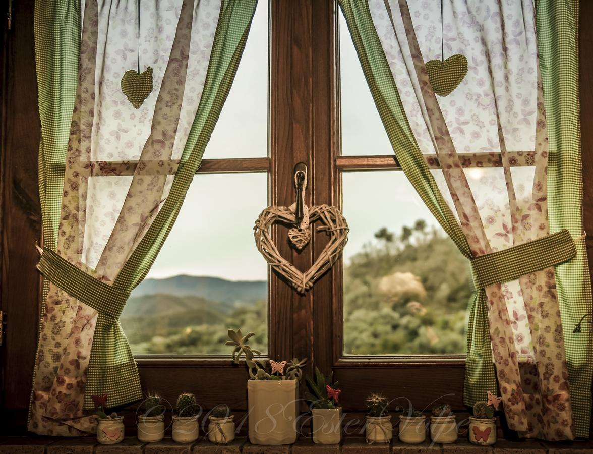 Bed & Breakfast Ca' Di Vissai Arnasco Zewnętrze zdjęcie