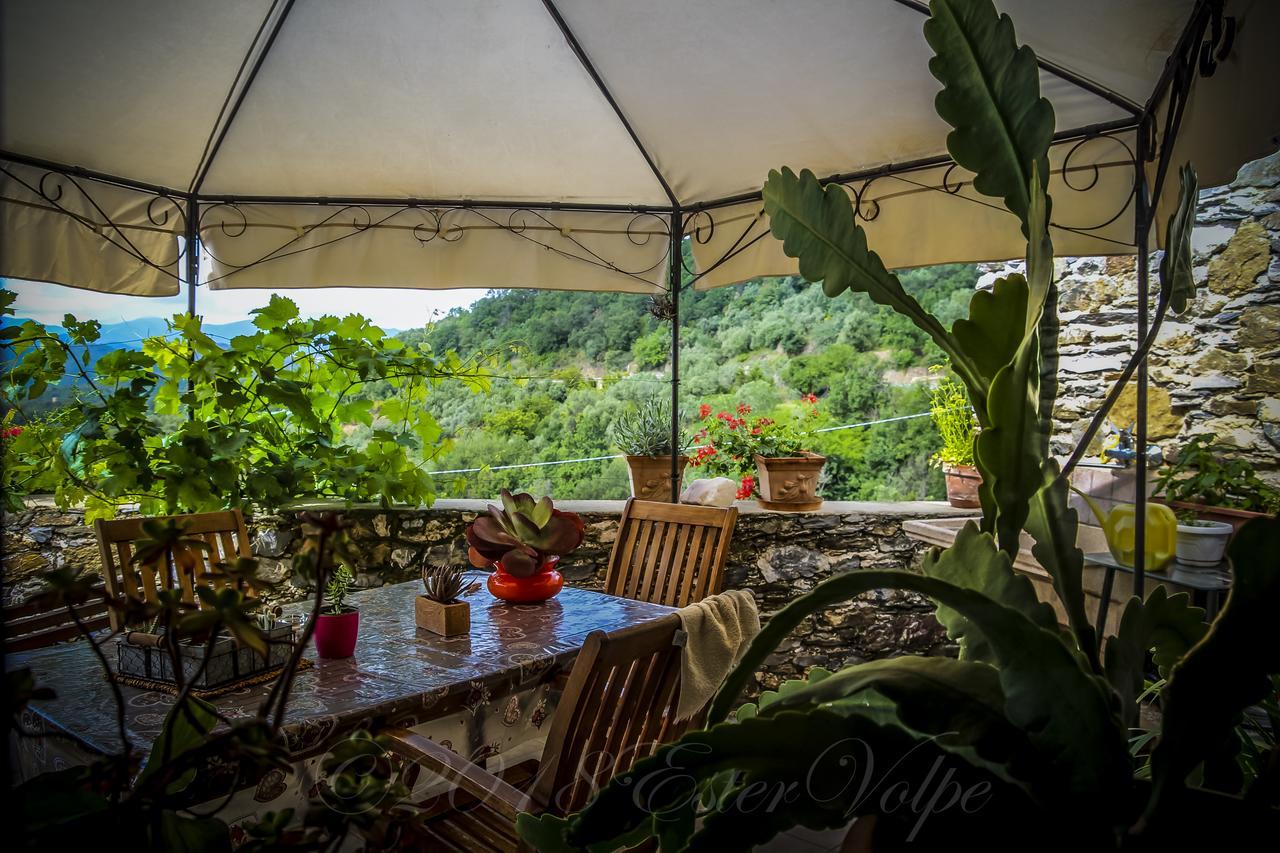 Bed & Breakfast Ca' Di Vissai Arnasco Zewnętrze zdjęcie